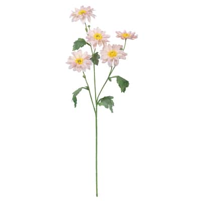 6dff5f99-54ee-4f14-985e-