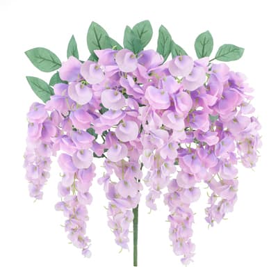 wisteria  74d33efa-bdd1-4b65-bffe-