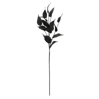 Black Philodendron Leaves Stem by Ashland® image