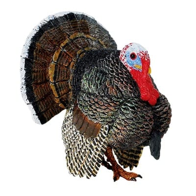 Safari Ltd® Turkey | Michaels