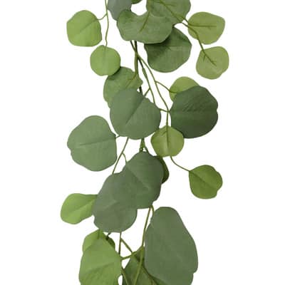 6ft. Eucalyptus Garland by Ashland® image