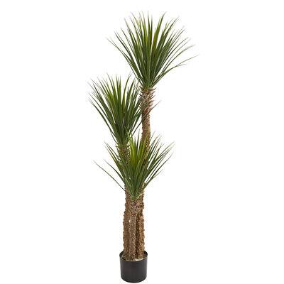 5ft. Potted Yucca Tree | Michaels