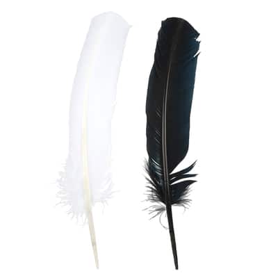 Black & White Quill Feather Mix by Creatology™ image