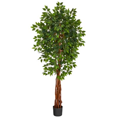 6.5ft. Potted Super Deluxe Ficus Tree | Michaels