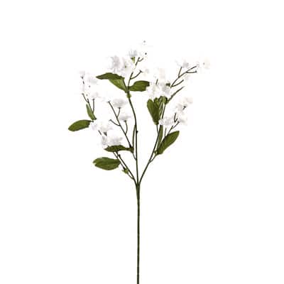 Double Baby's Breath Stem by Ashland® image
