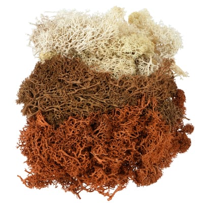 1.7oz. Moss by Ashland, Color: Brown Mix | Michaels