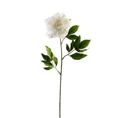 White Peony Stem by Ashland® image