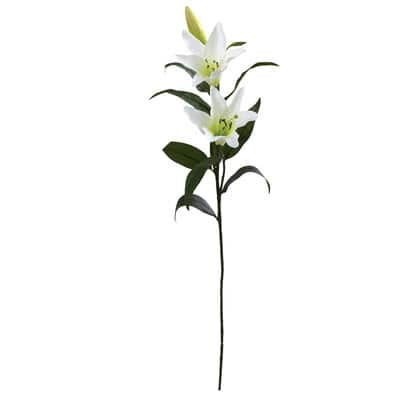 faux potted plant Artificial Plant, 20" Tall, Zz, Indoor, Faux, Fake, Table, Greenery, P