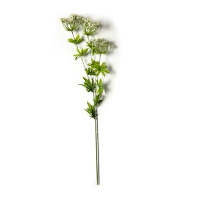 White Queen Anne's Lace Spray by Ashland® image