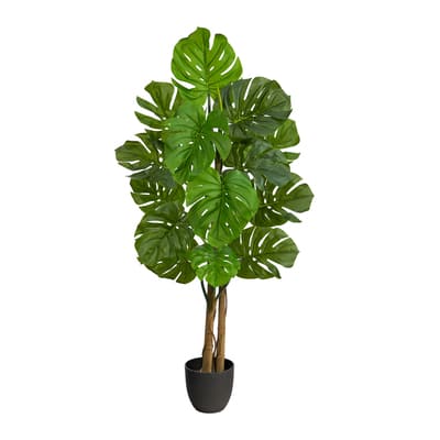 4ft. Potted Monstera Tree | Michaels