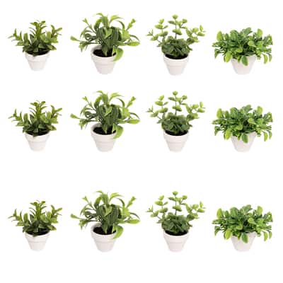 Assorted Micro Premade Leaf Plant, 1pc. by Ashland® | Michaels