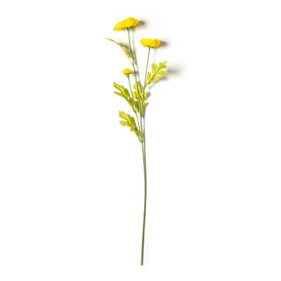 Ashland® Ranunculus Spray image