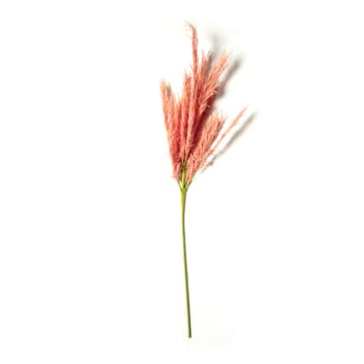 Peach Pampas Grass Stem by Ashland® image