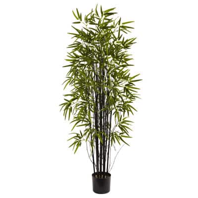 5ft. Potted Black Bamboo Tree | Michaels