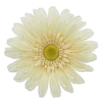 a2dc122f-3d56-41cb-9e75-