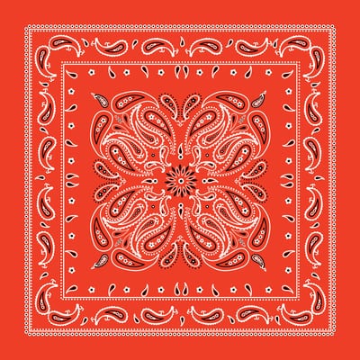Paisley Bandana by Make Market® image
