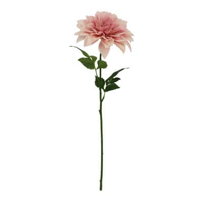 a434f53c-a598-4e01-b6c1-
