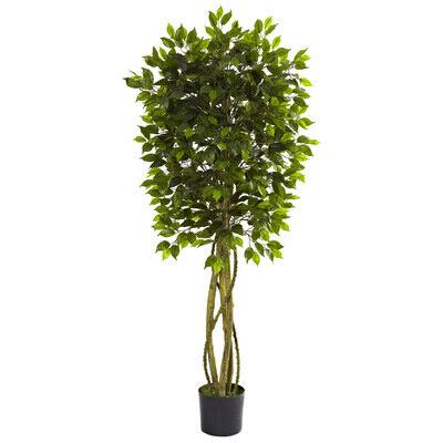 5.5ft. Potted UV Resistant Ficus Tree | Michaels
