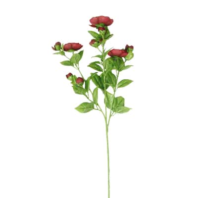 Buy in Bulk - 12 Pack: Burgundy Ranunculus Spray by Ashland® | Michaels
