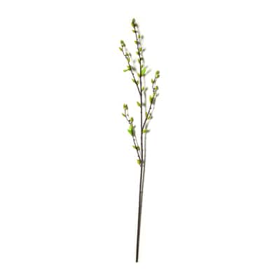 Green Willow Stem by Ashland® image