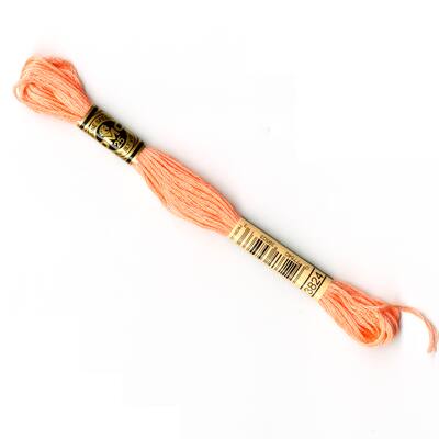 DMC® 6 Strand Embroidery Floss, Pink, Color: 3824 LT Apricot | Michaels