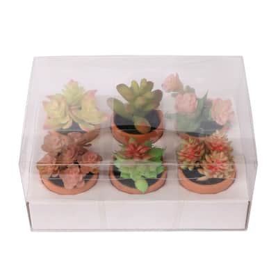 Mini Premade Succulents in Terra Cotta Pots, 6ct. by Ashland