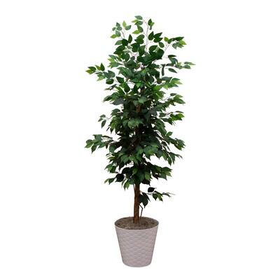 5.5ft. Artificial Ficus Double Stalk Tree in Hexagon Metal Planter ...