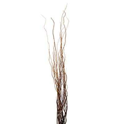 Natural Curly Willow by Ashland® image