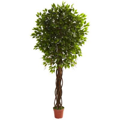 7.5ft. Potted UV Resistant Ficus Tree | Michaels
