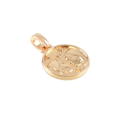 Metal Zodiac Coin Charm by Bead Landing™ image
