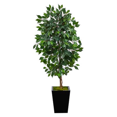 5ft. Ficus Tree in Black Metal Planter | Michaels