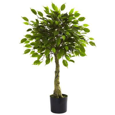 3ft. Potted Ficus Tree | Michaels