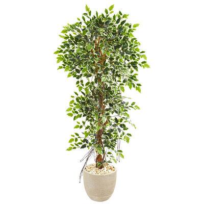 5ft. Ficus Tree in Sandstone Planter | Michaels