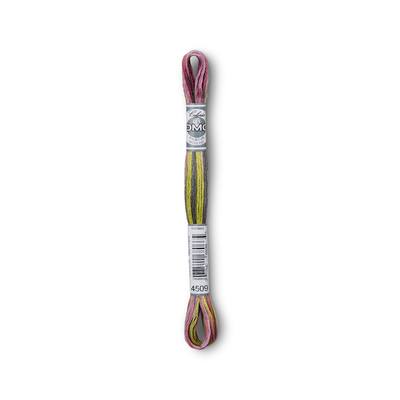 DMC® Coloris Embroidery Thread, Color: 4509 Granite Coast | Michaels