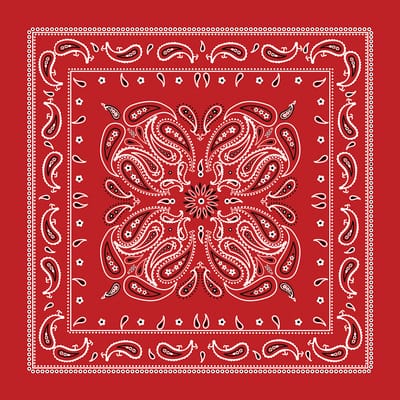 Paisley Bandana by Make Market® image