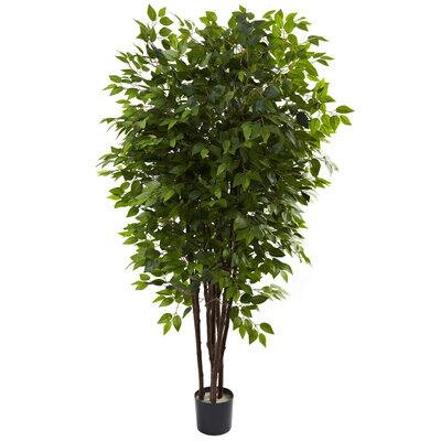6.5ft. Potted Deluxe Ficus Tree | Michaels