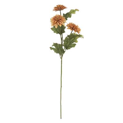 27" Toasted Daisy Stem by Ashland® image