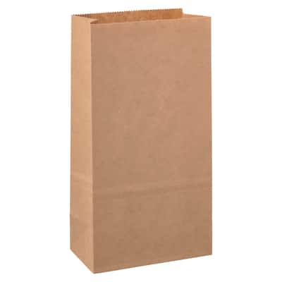 Large Paper Treat Bags by Celebrate It™