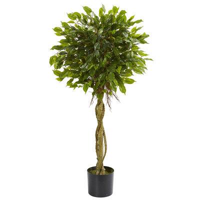 4ft. Potted Ficus Topiary Tree | Michaels