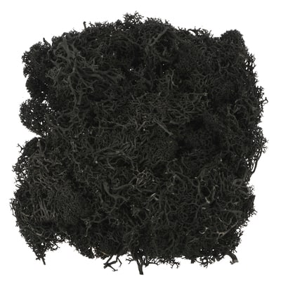 1.7oz. Halloween Moss by Ashland® image