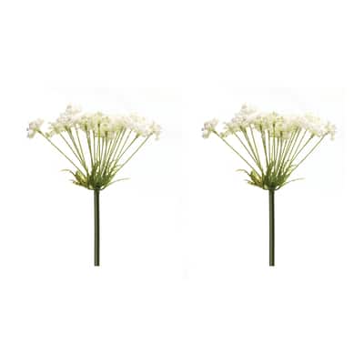 Queen Anne's Lace Stem, 2ct. | Michaels