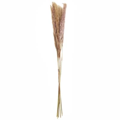 Mini Natural Brown Pampas Bunch by Ashland® image