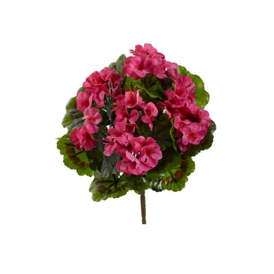 Pink Geranium Bush, 4ct. | Michaels