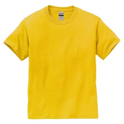 Gildan® Short Sleeve Youth T-Shirt image
