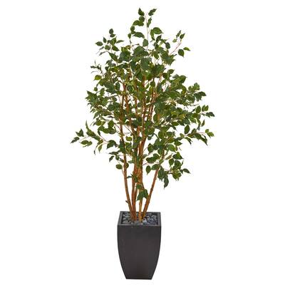 5ft. Ficus Tree in Black Planter | Michaels