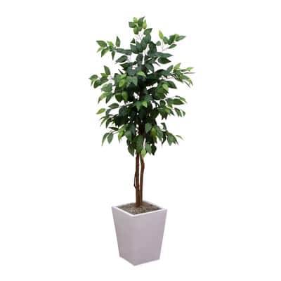 5ft. Artificial Ficus Tree in White Metal Square Planter | Michaels