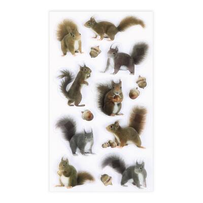 Buy in Bulk - 12 Pack: Squirrel Stickers by Recollections™ | Michaels