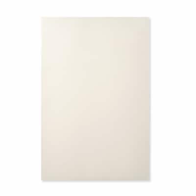 12" x 18" Thick Foam Sheet by Creatology™