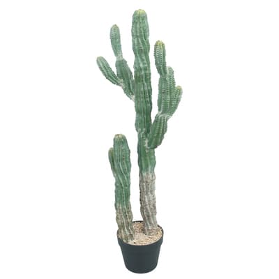 3ft. Potted Green Cactus Tree by Ashland® | Michaels